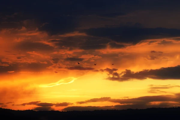 Dramatischer verschwommener Himmel bei Sonnenuntergang mit orangen Wolken und Vogel. — Stockfoto