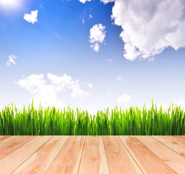 Frisches frühlingshaftes grünes Gras mit blauem Himmel und Sonnenlicht und Holzboden. Schönheit natürlichen Hintergrund — Stockfoto