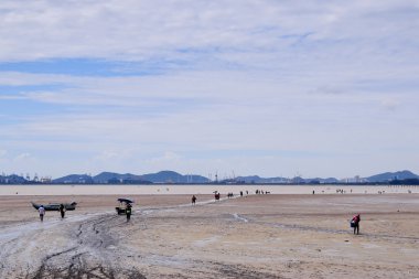 Pattaya, Tayland - 18 Haziran: Köylüler plaj Pattaya düşük gelgit sırasında, kabukları ('hoy'), ahtapot ('waai') ve satılık küçük balık toplamak. on Haziran 18, 2015 Pattaya, Tayland. 