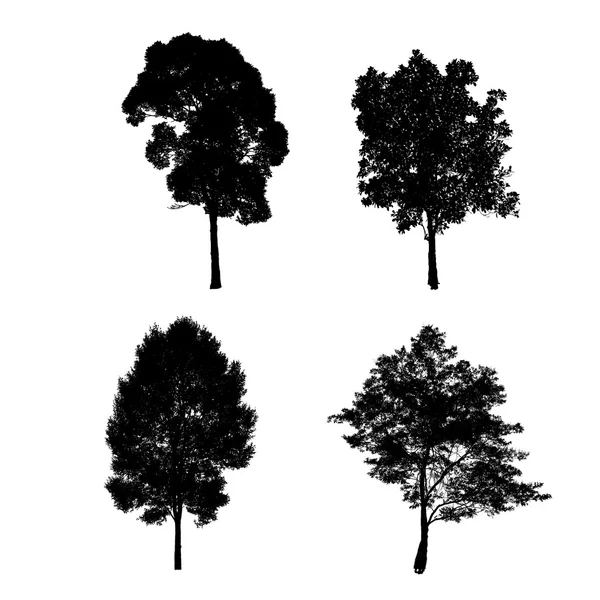 Tree silhouette isolate on white — 图库照片