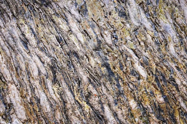 Close up of weathered gray rock textured background — Stock Photo, Image