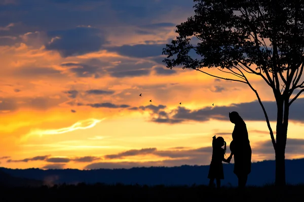 Een silhouet van een gelukkige familie, moeder, meisje en zuigeling (vrouwen zwangerschap) met boom op wazig avondrood op berg — Stockfoto