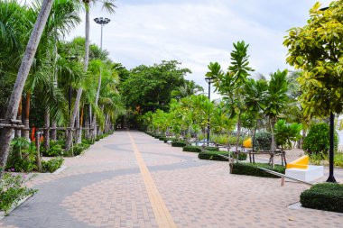 Parkta boş yolu