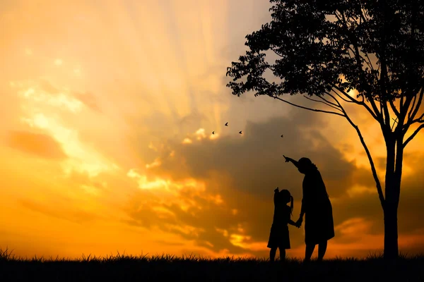 Una silhouette di una famiglia felice, madre, ragazza e neonato (gravidanza delle donne) con albero sul cielo di tramonto offuscato sulla montagna — Foto Stock