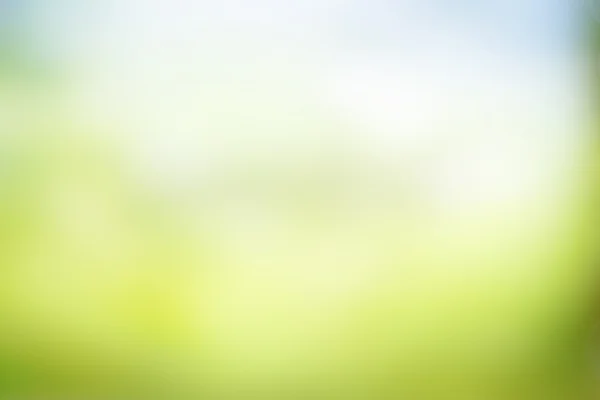 Green light background beautiful bokeh — Stock Photo, Image