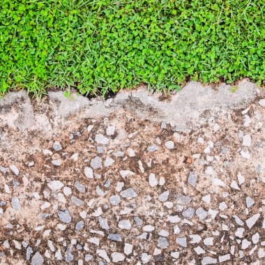 Eski çimento foor çim ile