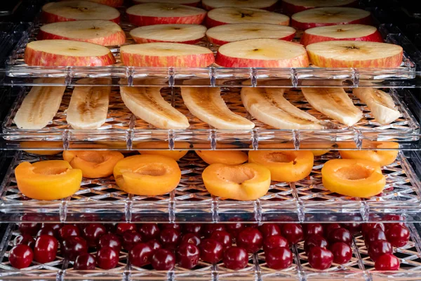 Elektrikli kurutma makinesi paletleri yatay yükleyerek ürünlerin susuzluğunu gidermek için. Paletlerde elmalar, muzlar, kayısılar ve kirazlar var. Yakın çekim, doğal ışık..