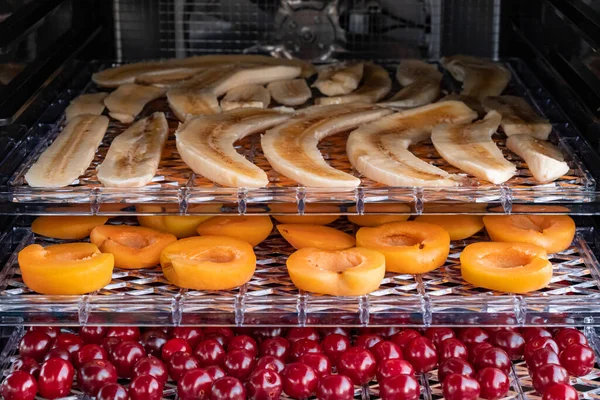 Elektrikli kurutma makinesi paletleri yatay yükleyerek ürünlerin susuzluğunu gidermek için. İçinde muz, kayısı ve kiraz paletler üzerinde kurutulur. Yakın çekim, doğal ışık.