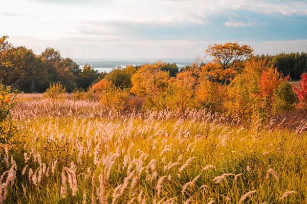 Красочный Осенний Пейзаж Облачный День Вид Залитые Солнцем Холмы Река — стоковое фото
