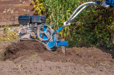 Tanınmayan bir çiftçi, el arabasıyla tarlayı sürüyor. Tarım makineleri: Bahçedeki ekin için ekici, motorlu el sabanı. Gerçek yaşam aktivitesinin gerçek bir görüntüsü..