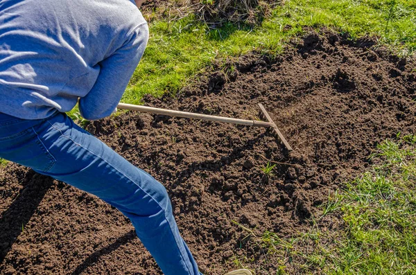 Farming, gardening, agriculture and People concept-an unrecognizable young man with a rake levels the ground and removes weeds on a garden bed on a farm on a sunny day.