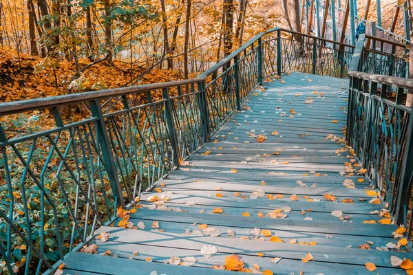 Спуск Лестнице Осеннем Городском Парке Широкая Деревянная Лестница Лестницами Покрытыми — стоковое фото
