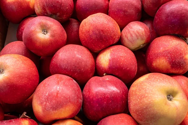 Свіжі Стиглі Червоні Яблука Лічильнику Фермерського Магазину — стокове фото
