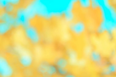 Güneşli bir günde sonbahar yapraklarının bulanık görüntüsü, bulanık arkaplan. İnsan yok, kapat, boşluğu kopyala, makro çekim.