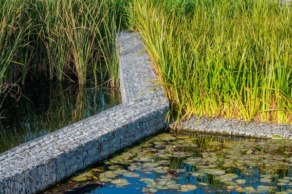 The system of natural filtration and purification of the water of the city lake with the help of different types of aquatic plants.