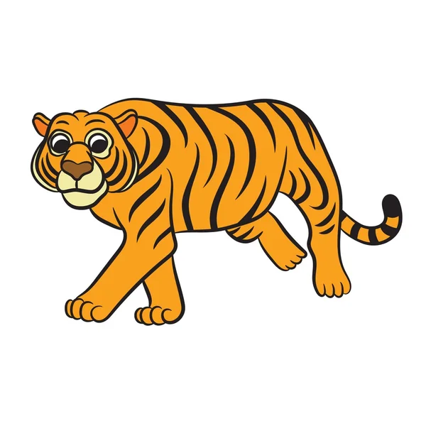 Illustration of tiger. Vector — Stock Vector