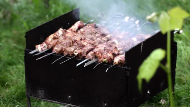 Beredning av en shish kebab — Stockvideo