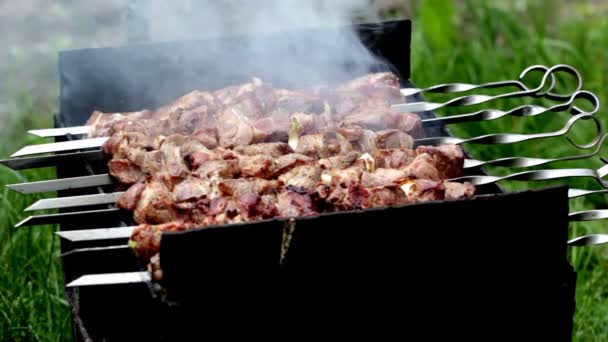 Preparación de un shish kebab — Vídeos de Stock