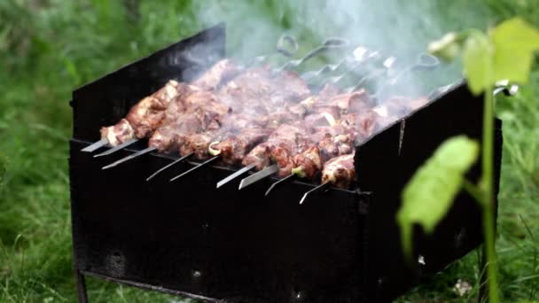 Preparación de un shish kebab — Vídeos de Stock