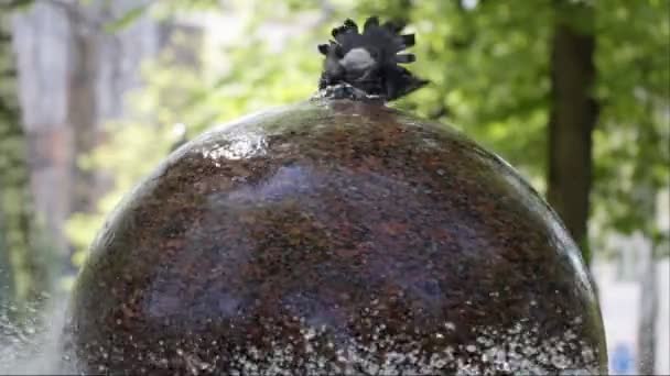 Tauben stehen und trinken Wasser am Brunnen im Park. — Stockvideo
