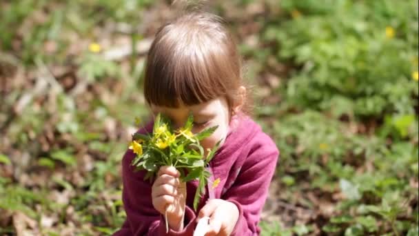 Kleines Mädchen bewundert und riecht Frühlingsblumen — Stockvideo