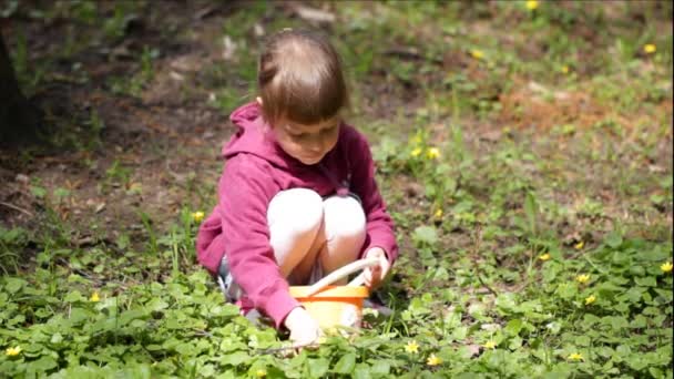 Meisje bewondert en ruiken Lentebloemen — Stockvideo