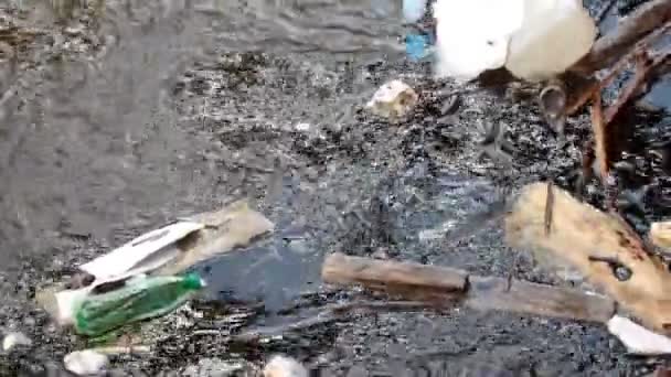 Agua contaminada en un arroyo . — Vídeos de Stock