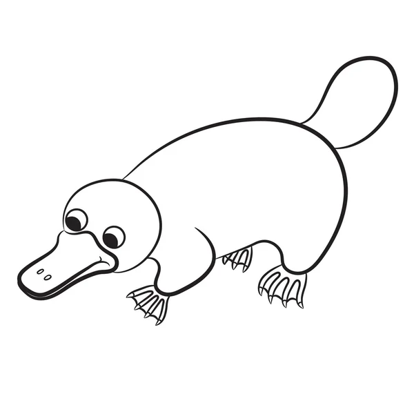 Cartoon illustration of platypus or duckbill animal outlined. Ilustración vectorial . — Vector de stock