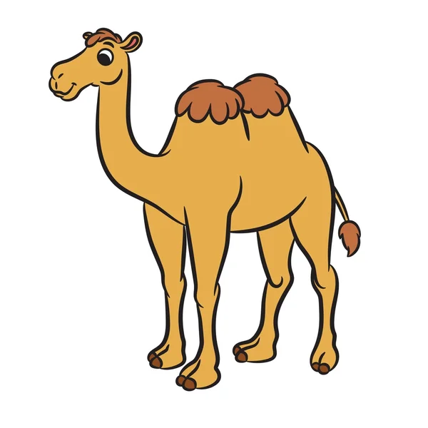 Illustrazione di simpatico cammello — Vettoriale Stock
