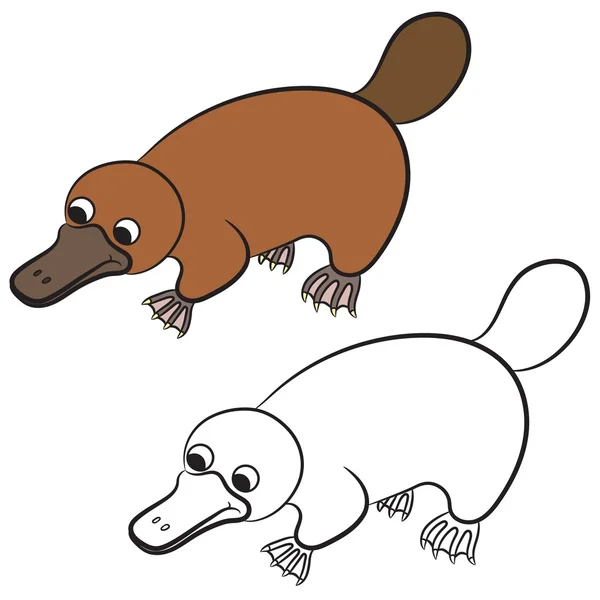 鸭嘴兽或鸭嘴兽的动物，在白色背景上的卡通插图 — 图库矢量图片