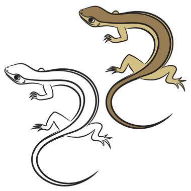 küçük kertenkele Illustration. boyama kitabı