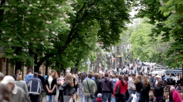 La celebración de la primavera en el parque de la ciudad — Vídeo de stock