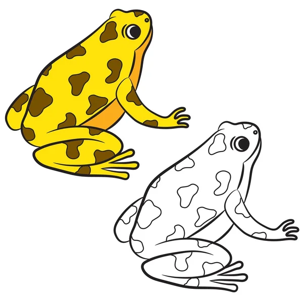 Cartoon of Poison-Dart Frog. Disegno da colorare. Vettore — Vettoriale Stock