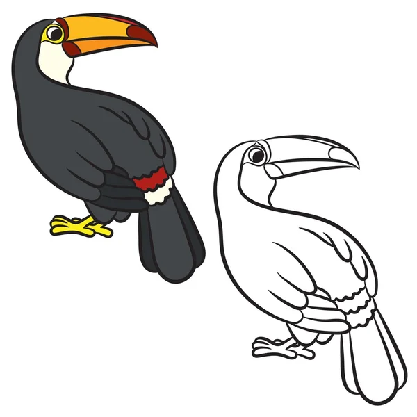 Ilustración de aves tucanas. Página para colorear — Vector de stock