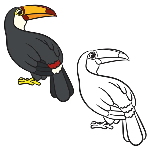 Toucan fågel illustration. Målarbok — Stock vektor