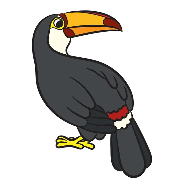 Ilustración de aves tucanas. Página para colorear — Vector de stock