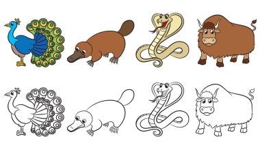 Cute zoo animals collection clipart