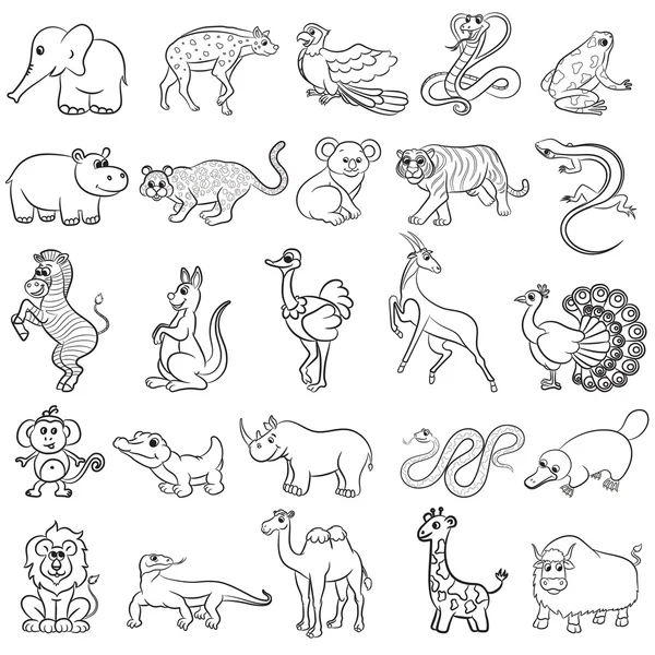 Cute zoo animals collection — Stock Vector