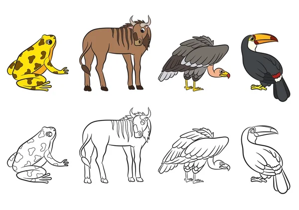 Мила колекція тварин. Векторні ілюстрації . — стоковий вектор