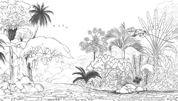 Tropical nature landscape, jungle with exotic tropical plants, flowers and leaves. Drawn jungle illustration. Design  for card, postcard, wallpaper, photo wallpaper, mural.