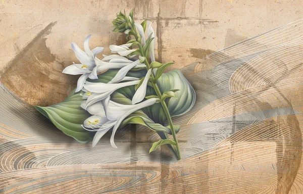 Vacker Makro Blomma Illustration Betong Beige Grunge Vägg Blommig Bakgrund — Stockfoto