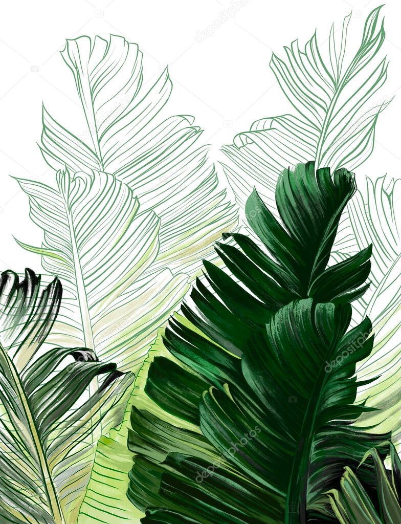 Painted banana and tropical leaves on a white background. Leaves illustration. Isolated banana leaves. Design element for wall mural, card, postcard, wallpaper, photo wallpaper.