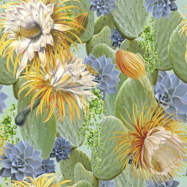 Kaktüs deseni. Soyut arkaplanda çiçek açan kaktüsler. Çiçekli kaktüs. Çiçek deseni. Duvar kağıdı, duvar kağıdı, duvar resmi, kart, kartpostal, resim için egzotik arkaplan.