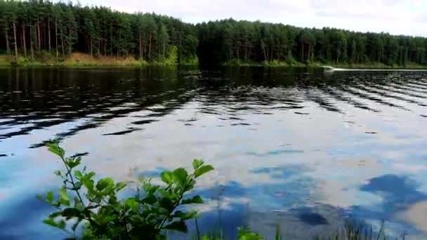 Belo dia de verão nas margens do rio Neman . — Vídeo de Stock