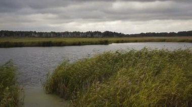 küçük göl sazlık ile büyümüş