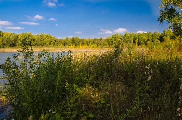 Paesaggio estivo nell'Uralr — Foto Stock