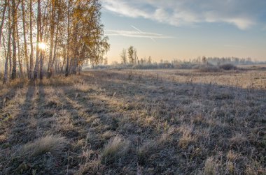 Güney Urallar doğası
