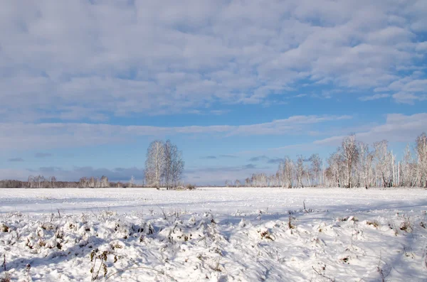 О природе Южного Урала — стоковое фото