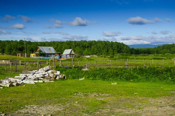 Zomer landschap — Stockfoto