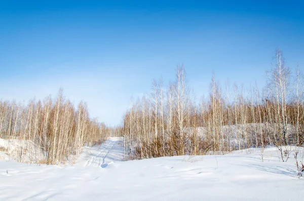 La naturaleza de los Urales del Sur —  Fotos de Stock
